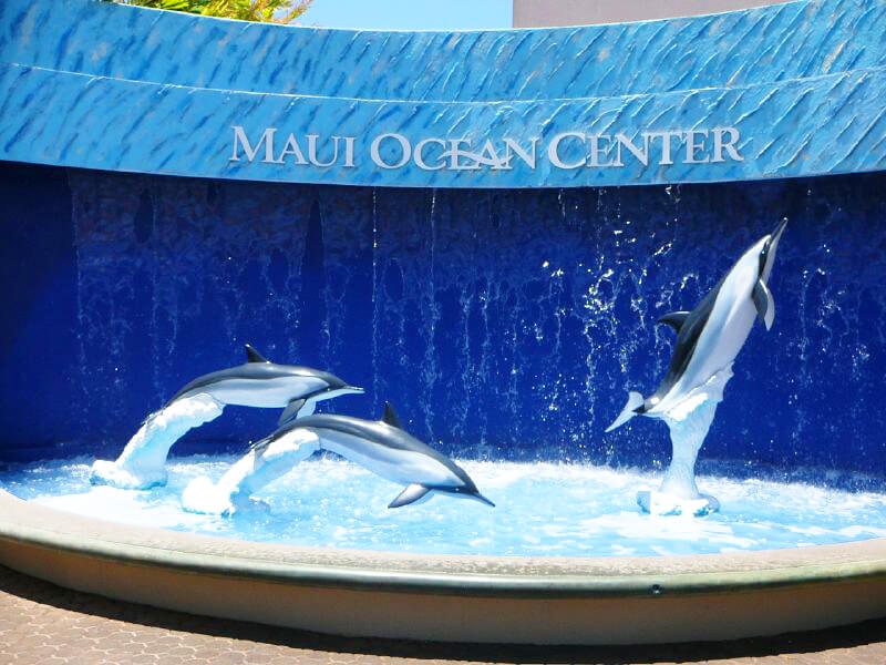 Maui Ocean Center