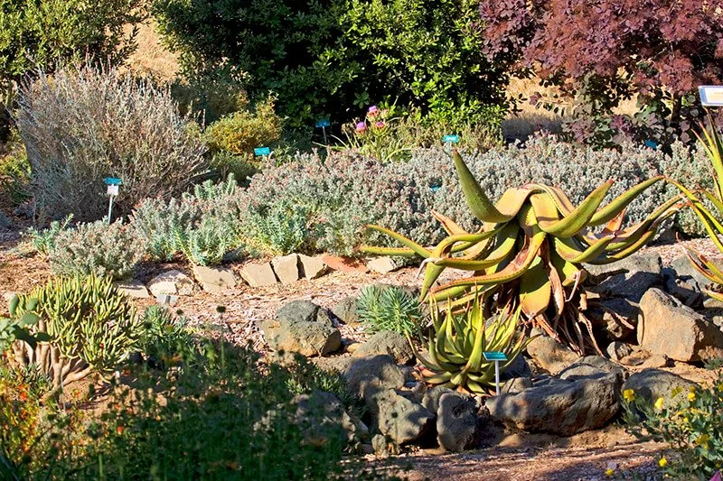 San Luis Obispo Botanical Garden