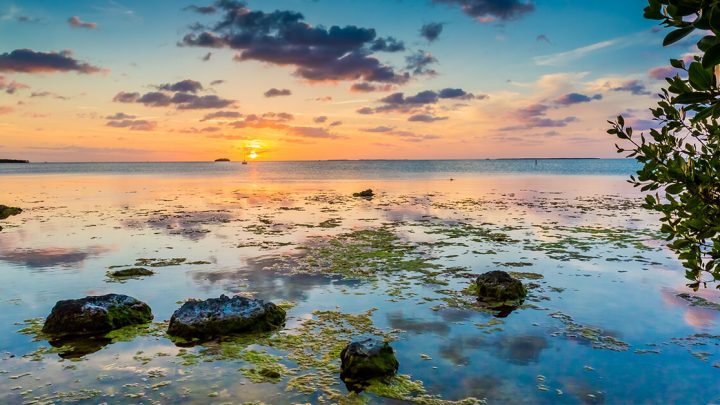Things To Do In Key Largo
