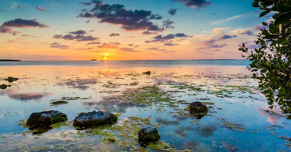 23 Best & Fun Things To Do In Key Largo (FL) Attractions & Activities