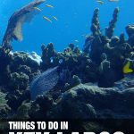 fun things to do in Key Largo