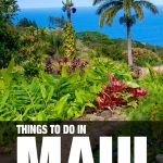 fun things to do in Maui