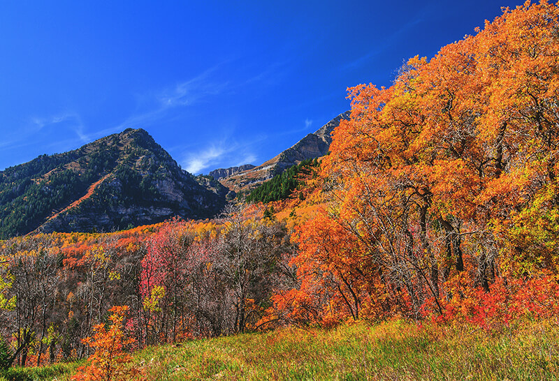 Alpine Loop