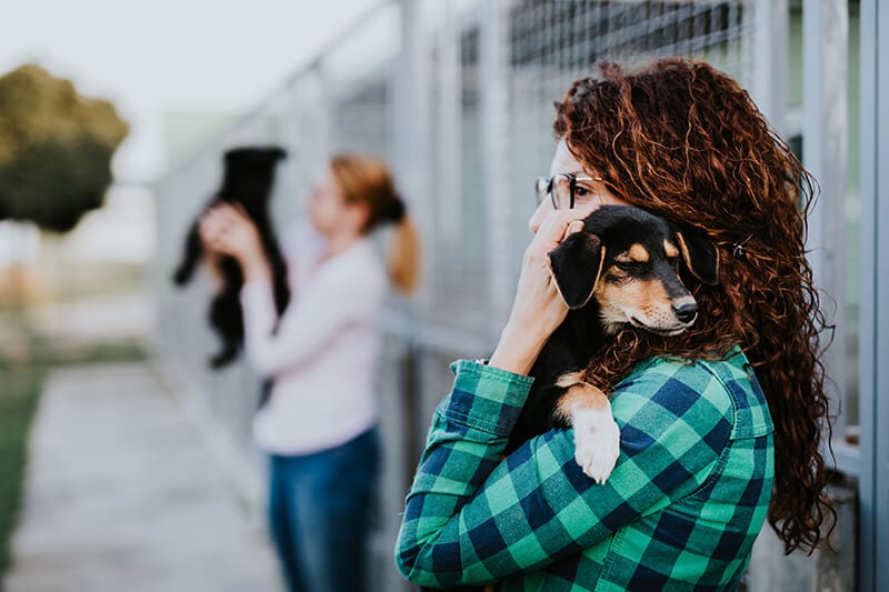 Best Friends Animal Sanctuary​