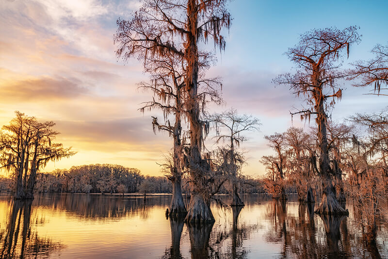 Caddo Lake