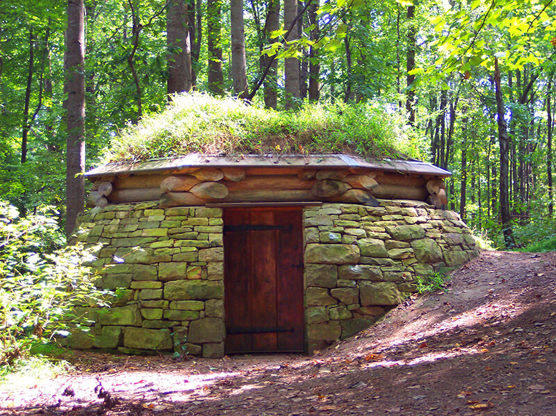 Cloud Chamber for the Trees and Sky