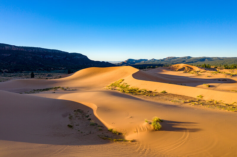 Coral Pink Sand Dunes State Park