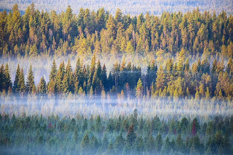 Deschutes National Forest