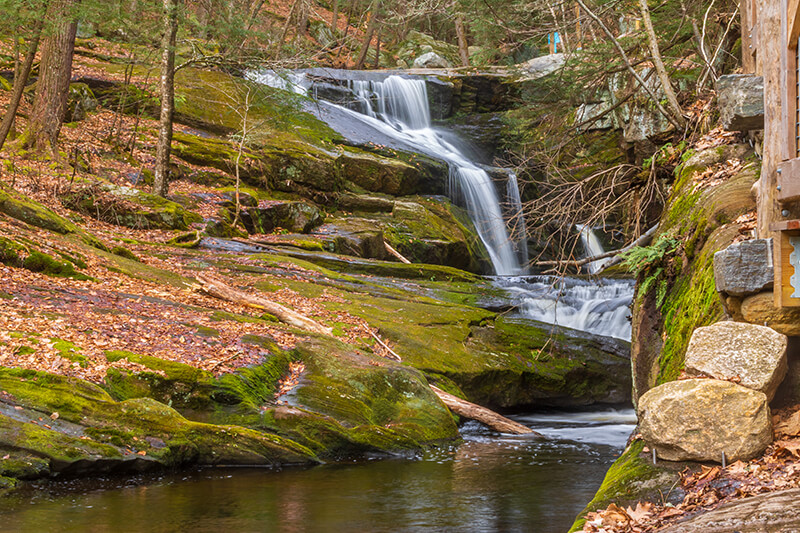 Enders State Forest