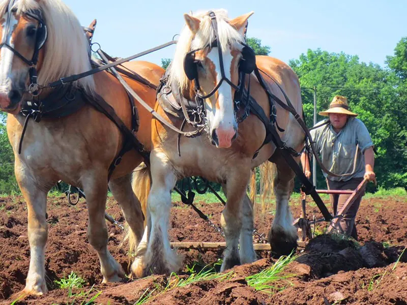 Howell Living History Farm