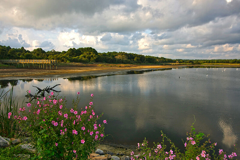 Huntington Beach State Park