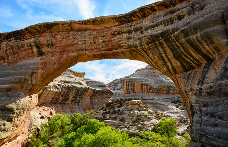 Natural Bridges National Monument