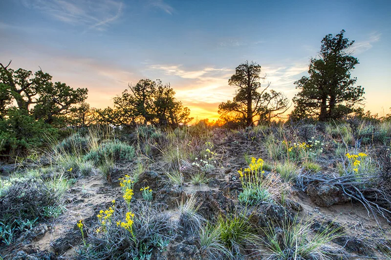 Oregon Badlands Wilderness Area