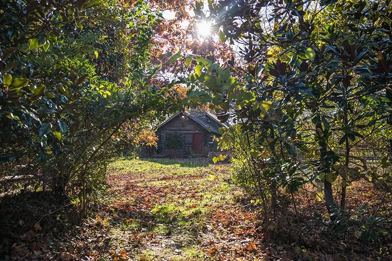 Rutgers Gardens