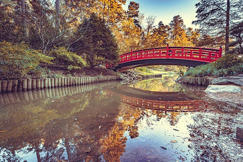 Sarah P. Duke Gardens