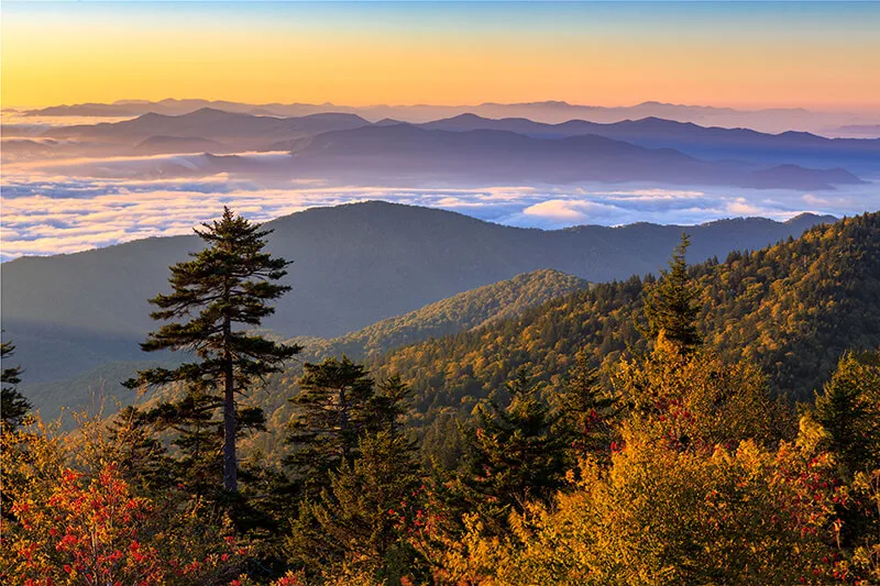 The Great Smoky Mountains National Park