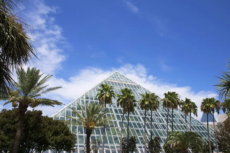 The Moody Gardens and Aquarium