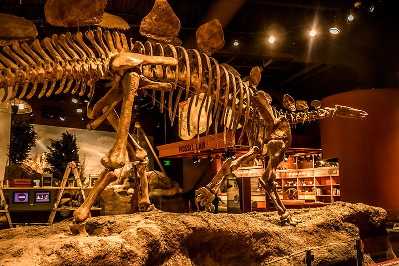 Utah Field House of Natural History State Park