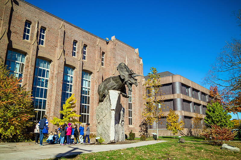 Yale Peabody Museum of Natural History