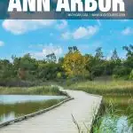 things to do in Ann Arbor