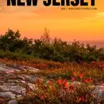 things to do in New Jersey