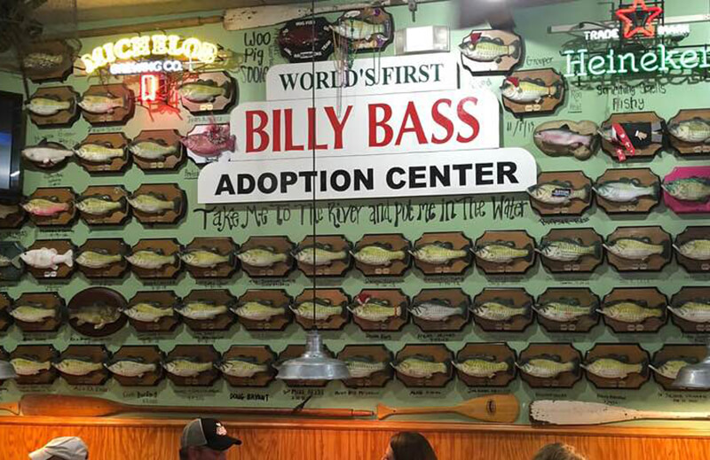 Billy Bass Adoption Center