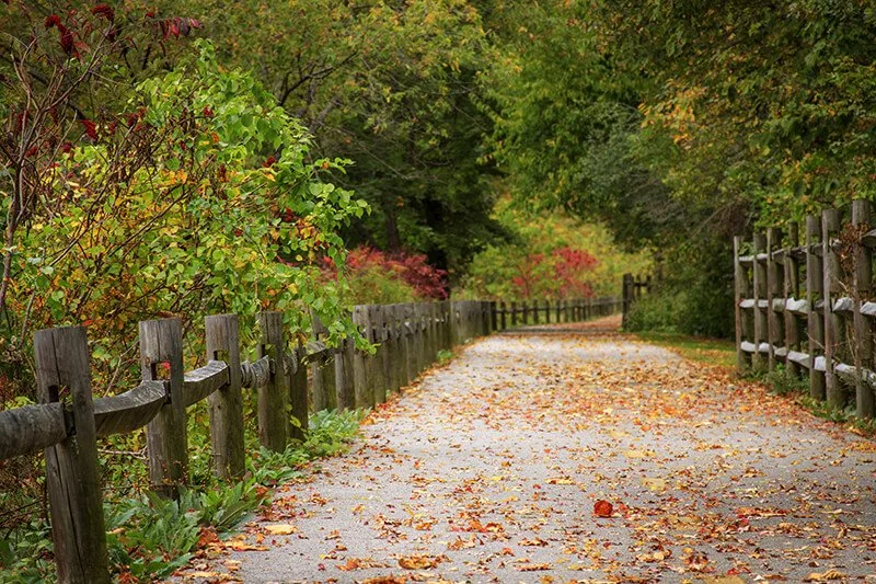 Blackstone River Bikeway