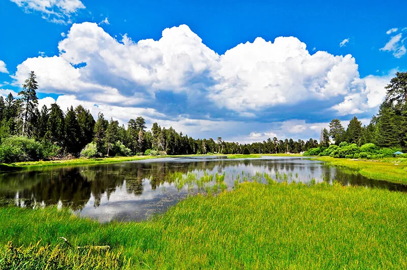 Bluff Lake Reserve