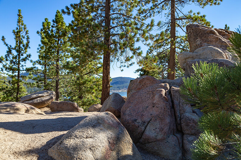 Castle Rock Trail