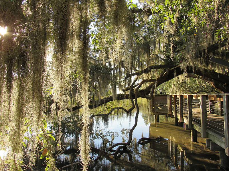 Coastal Discovery Museum