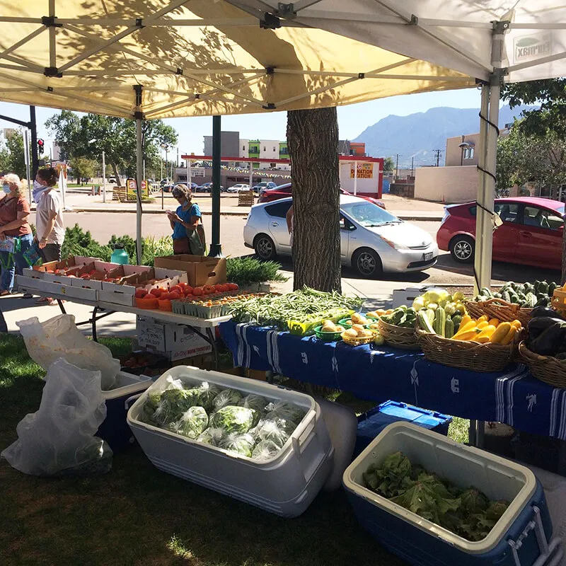 Colorado Farm and Art Market