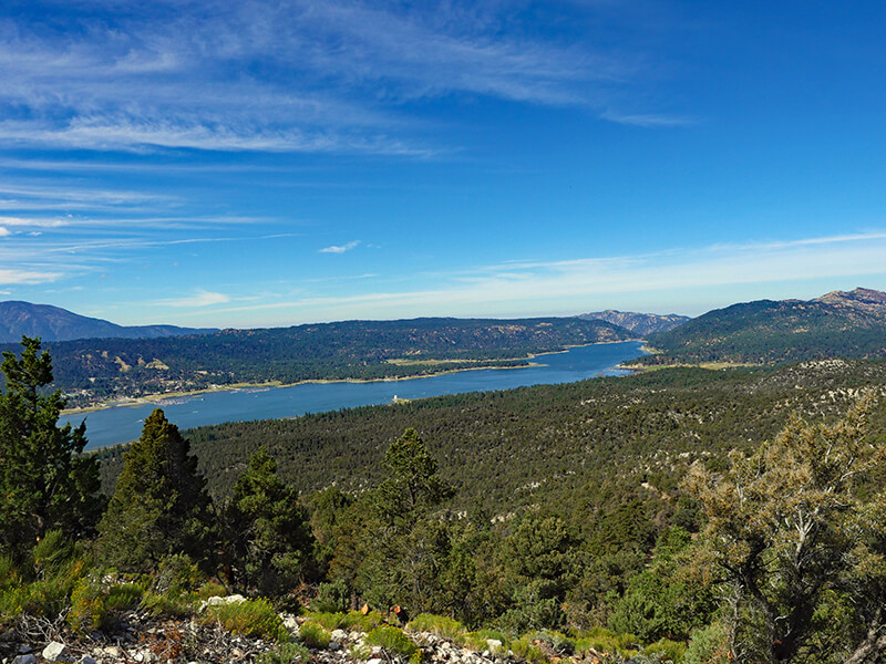 Cougar Crest Trail