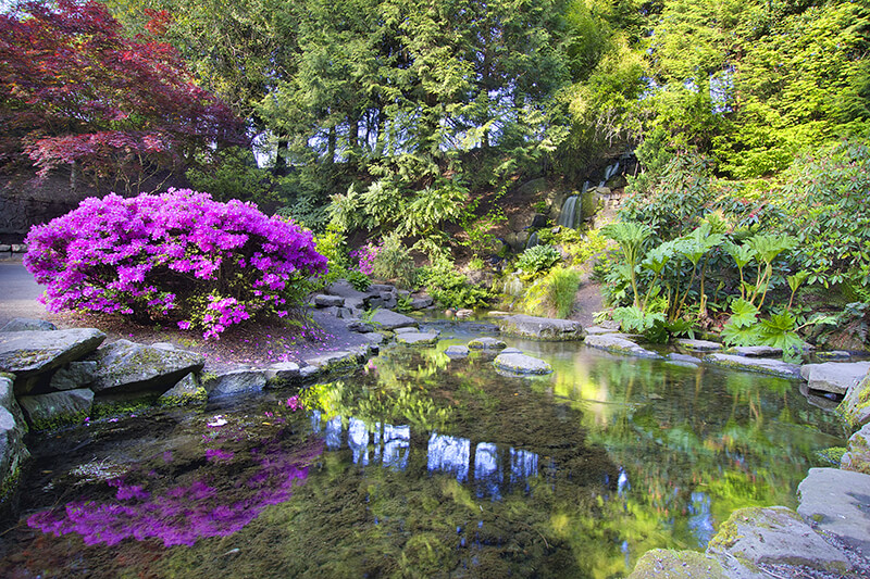 Crystal Springs Rhododendron Garden