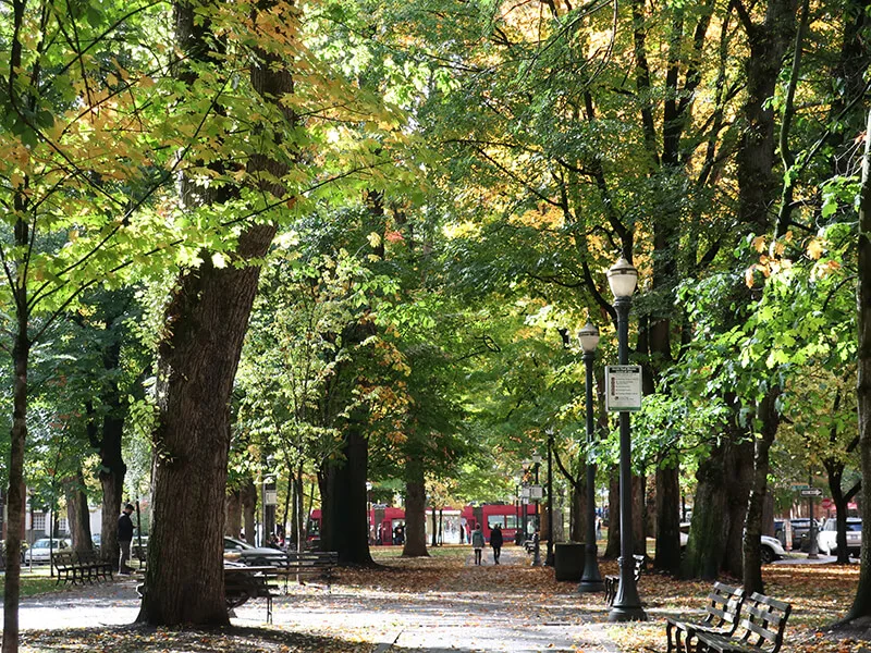 Downtown Park Blocks