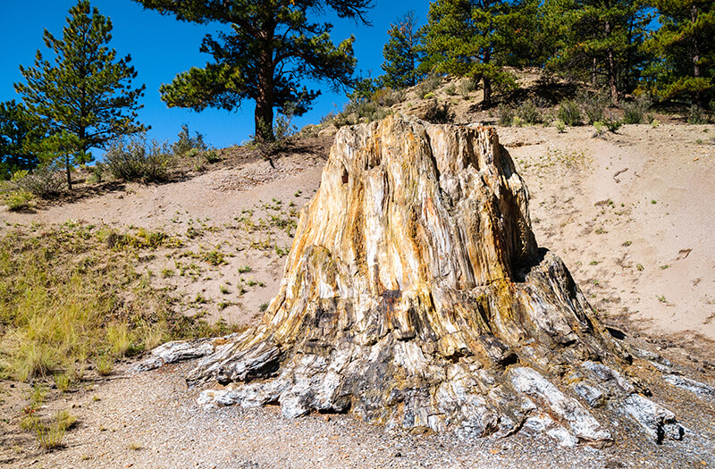 Florissant Fossil Beds