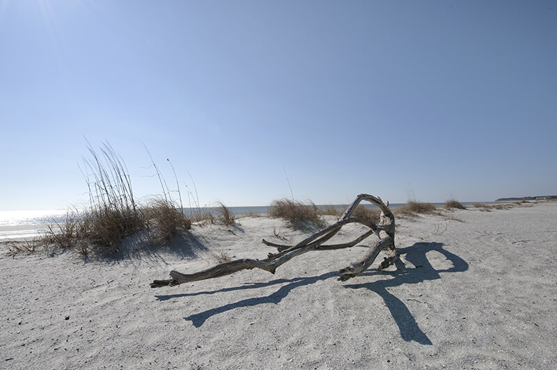 Beach Park With Grills Near Me