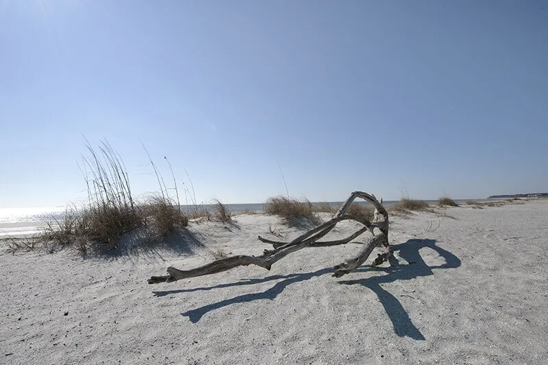 Folly Field Beach Park