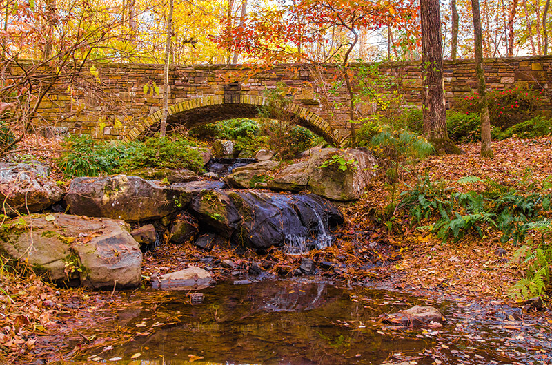 Garvan Woodland Gardens