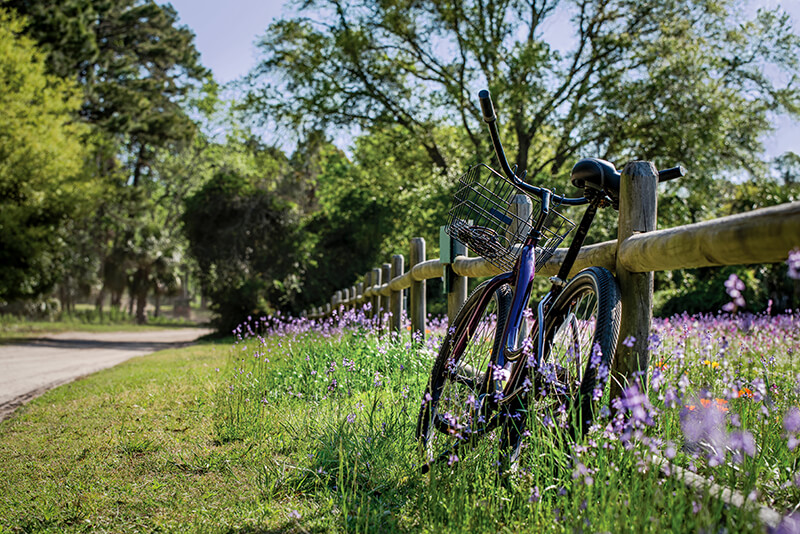 Hilton Head Island Bike Trails