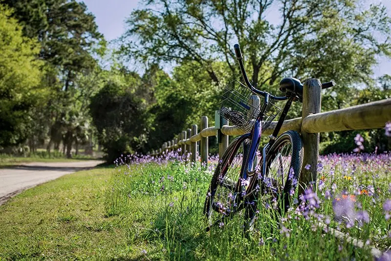 Hilton Head Island Bike Trails