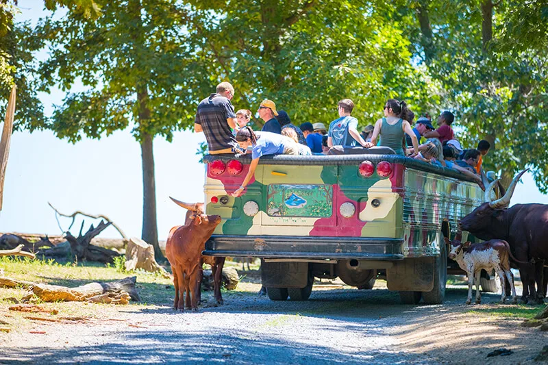 Lake Tobias Wildlife Park