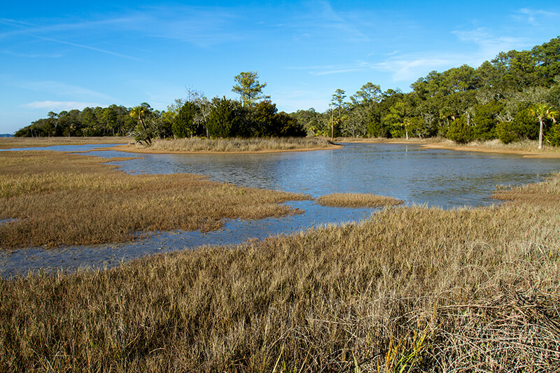 Pinckney Island National Wildlife Refuge