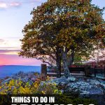 things to do in Arkansas
