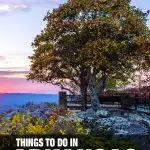 things to do in Arkansas