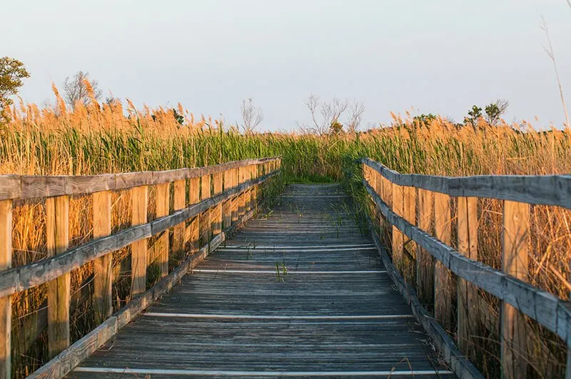 Back Bay National Wildlife Refuge