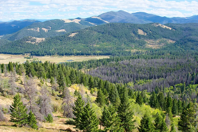 Beaverhead-Deerlodge National Forest