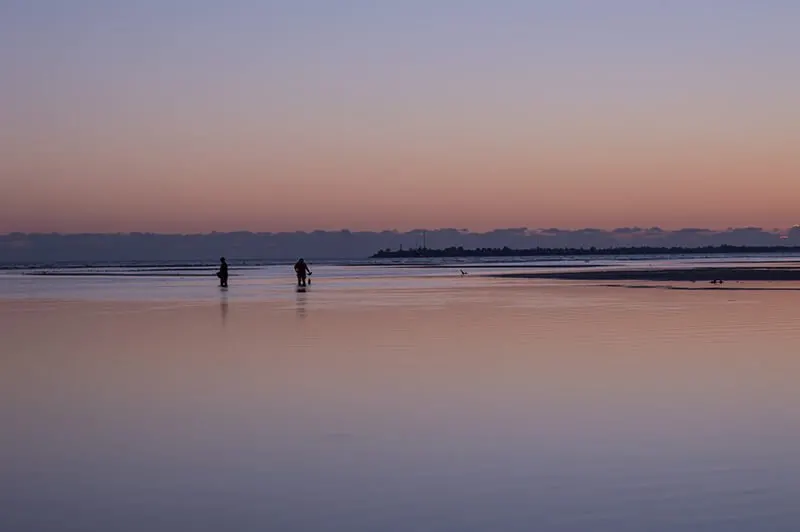 Bunche Beach