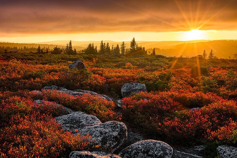 Dolly Sods Wilderness Area