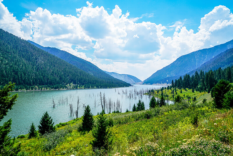 Earthquake Lake