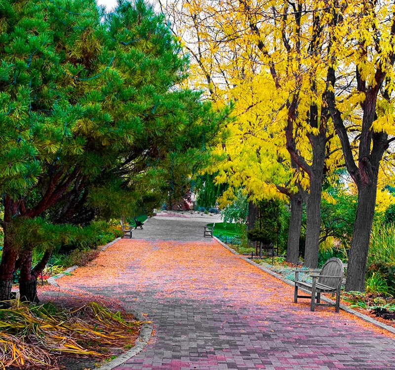 Idaho Botanical Garden